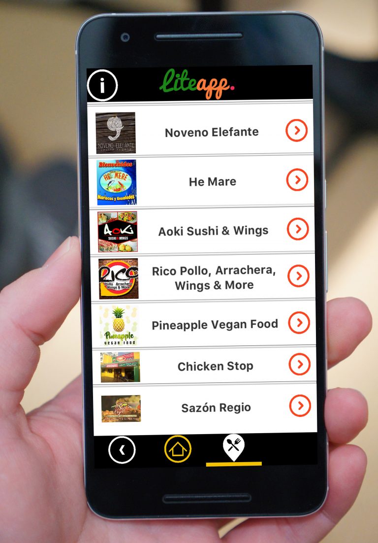LiteAPP2
