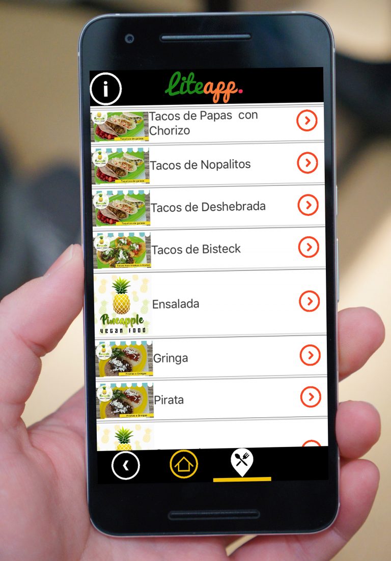 LiteAPP4